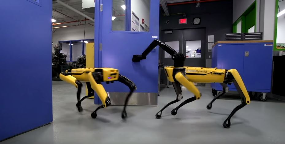 Impresionante perro robot que abre puertas